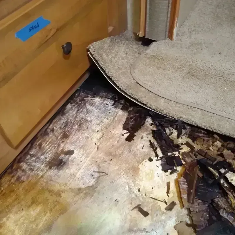 Wood Floor Water Damage in Raritan, NJ